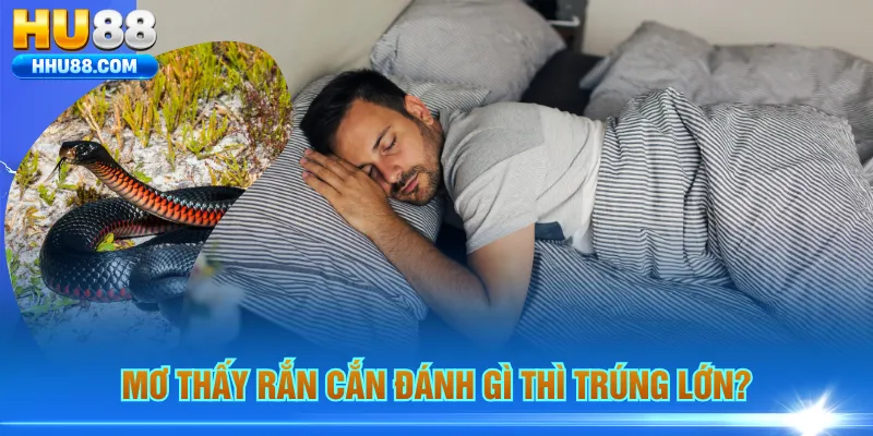 Mơ thấy rắn cắn đánh gì thì trúng lớn?