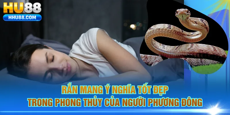 Rắn mang ý nghĩa tốt đẹp trong phong thủy của người phương Đông